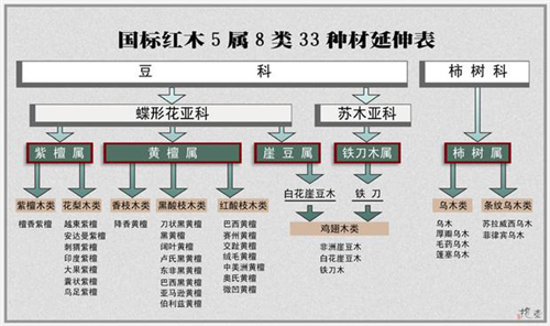 安达曼紫檀是什么_安达曼紫檀介绍(红木木材解析) 国标红木分类