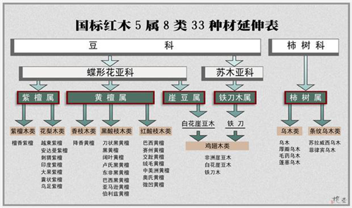 安达曼紫檀是什么 安达曼紫檀介绍【红木木材解析】